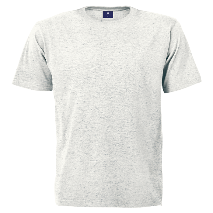 Mens 160g Barron Crew Neck T-Shirt