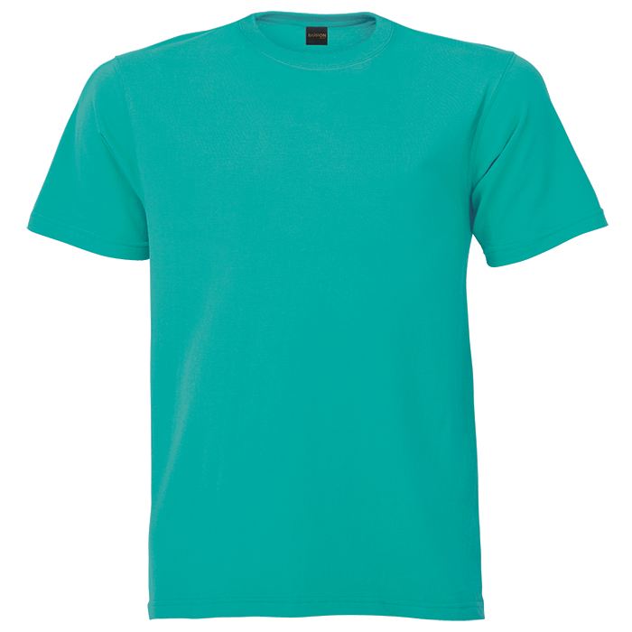 Mens 160g Barron Crew Neck T-Shirt