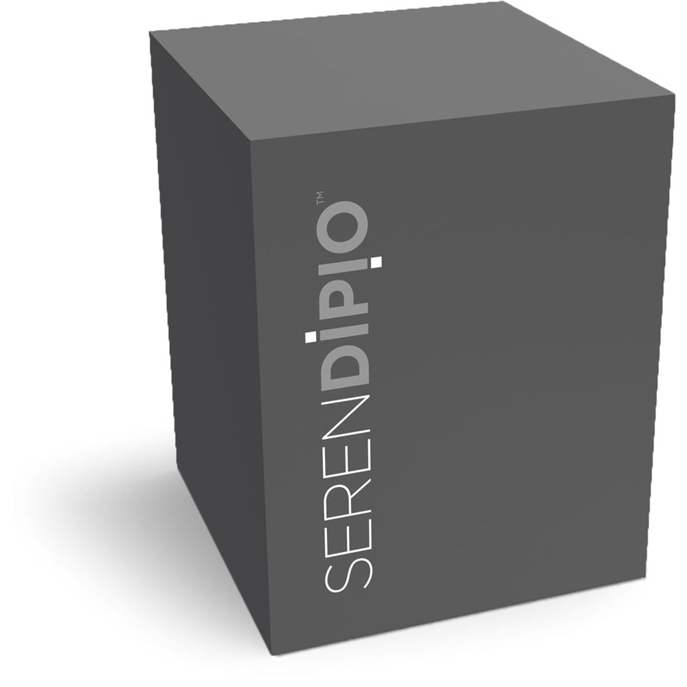 Serendipio Sheridan Stainless Steel Vacuum Tumbler – 300ml
