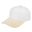 SA Two-Tone 6 Panel Cap