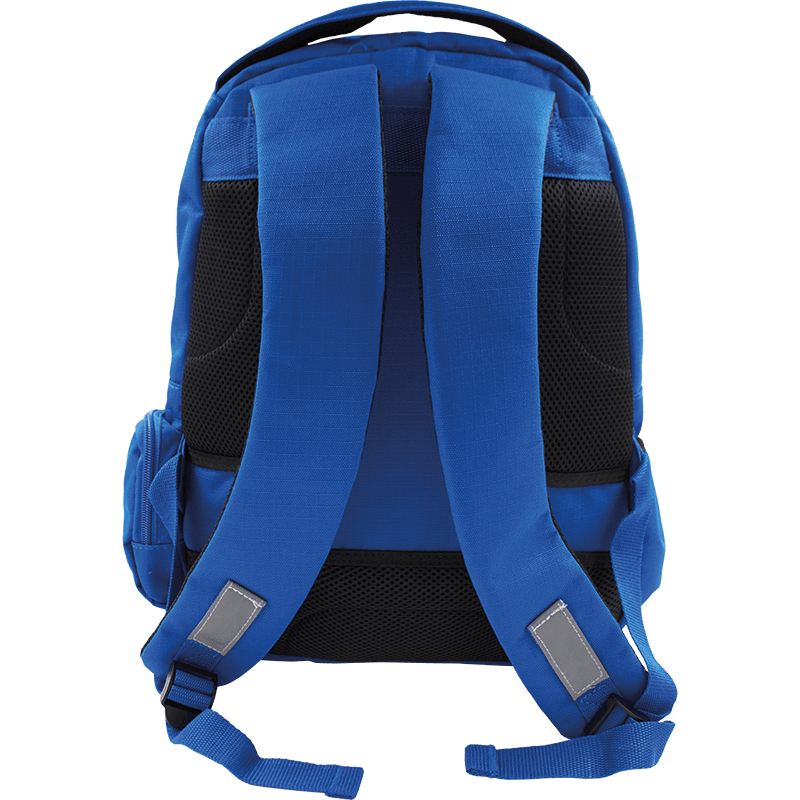 Royal blue sports backpack shown from the back.