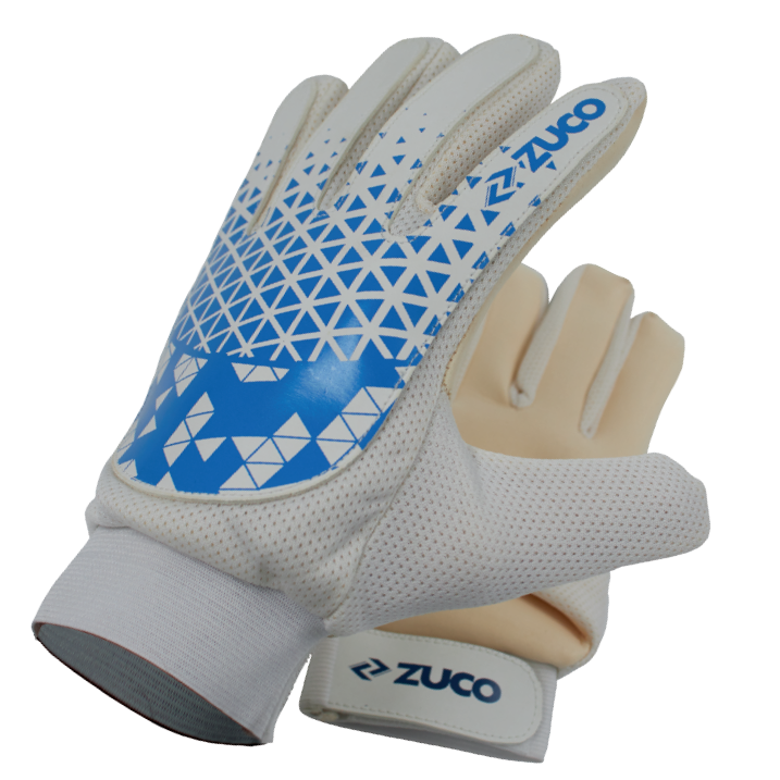 White and blue goalkeeper gloves shown as a pair.